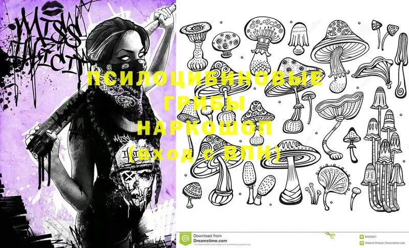 Галлюциногенные грибы MAGIC MUSHROOMS  Тюмень 